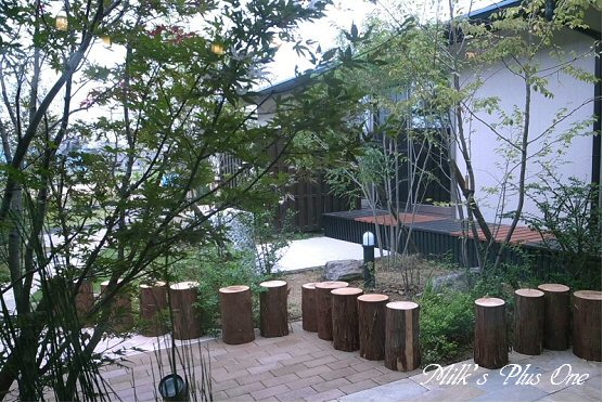 木のコトカフェ中庭.jpg