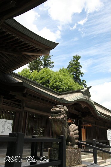 阿蘇神社２.jpg