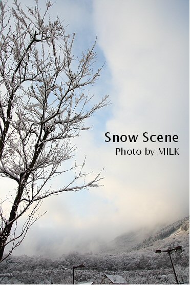 雪景色１.jpg