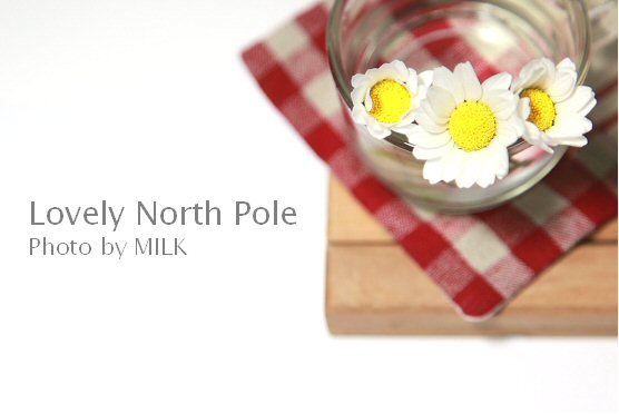 Lovely North Pole1.jpg
