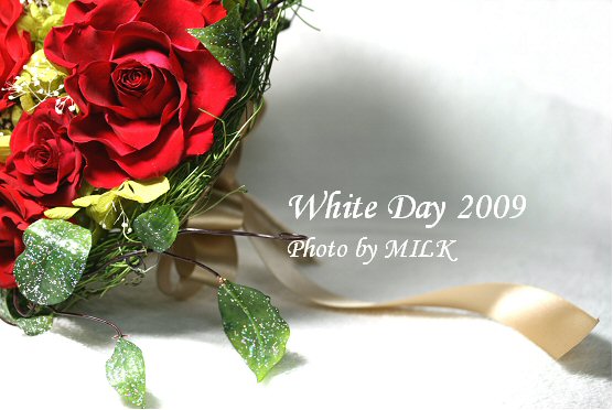 White Day R1.jpg
