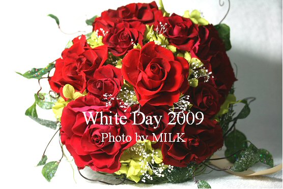 White Day R2.jpg