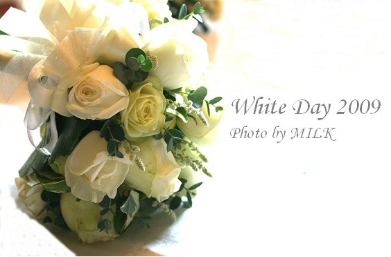 White Day W1.jpg