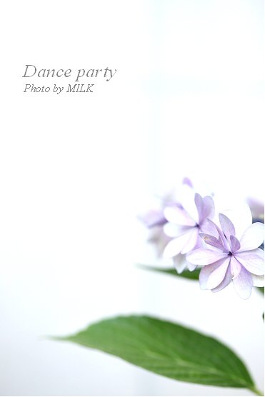 dance party_1.jpg