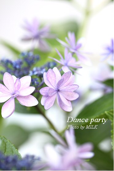 dance party_2.jpg