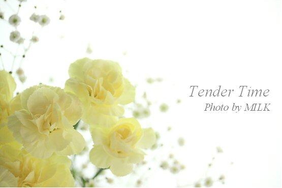 tender time 2.jpg